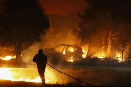 Decenas de indonesios hospitalizados por humo de incendio forestal