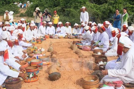  Comunidad islámica vietnamita celebrará en junio Festival por el Ramadan 2017