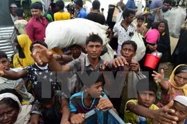 Naciones Unidas exhorta a poner fin a violencia en Rakhine