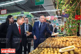 Vinmart - Perspectiva de un sector minorista en Vietnam