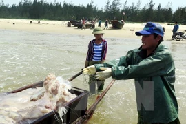Ha Tinh con nuevo rostro un año después del incidente de contaminación marina