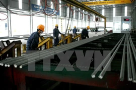 Grupo de Acero de Vietnam anuncia meta millonaria para 2017
