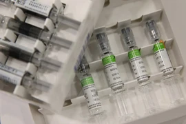 Malasia: Embarazada fallecida por gripe A/H1N1