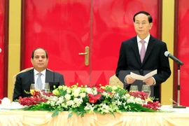 Presidente de Vietnam aprecia relación con Egipto
