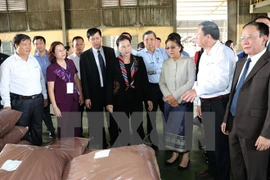 Presidentas de parlamentos vietnamita y laosiano rinden homenaje a mártires