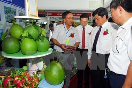 Productos agrícolas de Vietnam buscan conquistar el mercado de Sudcorea