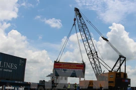 Vinalines y grupo japonés NYK Line cooperan en transporte y servicios logísticos