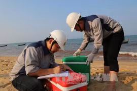Urgen a control del ambiente marino en provincias centrovietnamitas