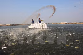 Provincia vietnamita busca promover nexos comerciales con Australia