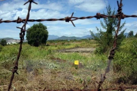 Veteranos estadounidenses y organizaciones vietnamitas impulsan cooperación