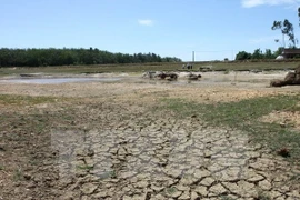 Urgen más recursos financieros para enfrentar cambio climático en Delta del Mekong de Vietnam 