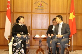 Presidenta de Asamblea Nacional de Vietnam dialoga con titular del Parlamento de Singapur