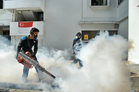 Singapur confirma dos casos nuevos de Zika 