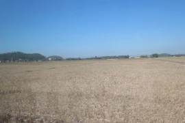 Vietnam se esfuerza por mejorar adaptación al cambio climático y gestión del riesgo de desastres naturales