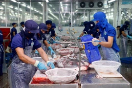 Empresas japonesas buscan socios en provincia vietnamita de Dong Nai