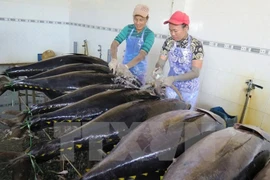 Provincia vietnamita impulsa desarrollo sostenible del sector acuático 