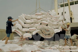 Variedad japónica da impulso a las exportaciones vietnamitas de arroz