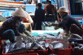 Mercado de productos acuáticos en Centro de Vietnam se recupera de incidente ambiental