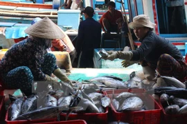 Mercado de productos acuáticos en Centro de Vietnam se recupera de incidente ambiental