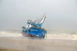 Tifón Damrey deja 27 muertos y 22 desaparecidos en Vietnam