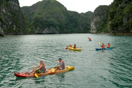 Reanudan servicios de kayak en Bahía vietnamita de Ha Long