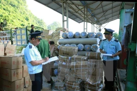 Portal electrónico acelera actividades de importación y exportación en Vietnam