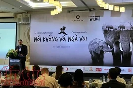 Vietnam lanza campaña de concienciación contra comercio de colmillos de elefantes 