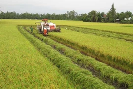 Centro Internacional de Agricultura Tropical conmemora su fundación