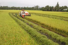Centro Internacional de Agricultura Tropical conmemora su fundación