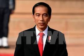 Indonesia y Australia podrán realizar patrullaje conjunto en Mar del Este