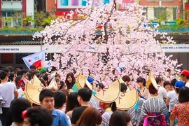 Celebrarán en Da Nang programa de intercambio cultural Vietnam- Japón