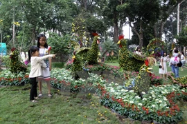 Más de 800 mil personas asistieron a Festival de Flores en Ciudad Ho Chi Minh 