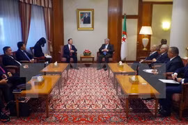 Argelia aspira a adquirir experiencias de Vietnam en integración internacional