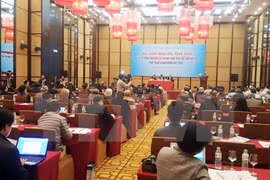 Expertos internacionales analizan en Vietnam riesgos ambientales y salud humana