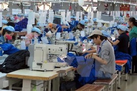 Hanoi espera nueva ola de inversión en sus parques industriales 