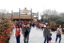Ofrecerán miles de billetes de avión y recorridos turísticos en Feria de Turismo de Vietnam