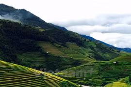 Terrazas de arroz de Mu Cang Chai, un lugar donde reina la belleza 