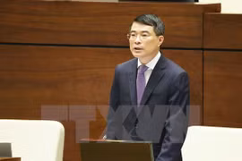 Gobernador del Banco Estatal de Vietnam comparece ante el Parlamento 