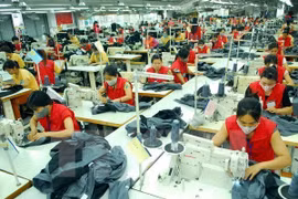 Economista ruso valora TLC entre Vietnam y la Unión Económica Euroasiática