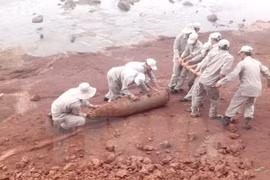 Desactivan una bomba de 250 kilos en provincia norvietnamita