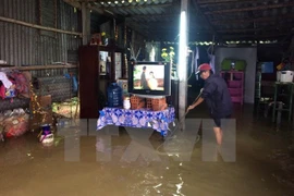 Japón presta asistencia a provincias vietnamitas afectadas por tifón Damrey