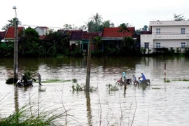 Asciende a 89 número de muertos en Vietnam por tifón Damrey
