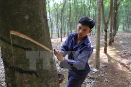 Empresa rusa desea seguir invirtiendo en industria cauchera de Vietnam