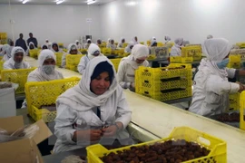 Argelia busca exportar dátil a Vietnam
