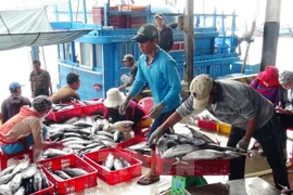 Vietnam continúa proceso de compensación a afectados por incidente ambiental