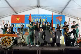 Conmemoran quinto aniversario de Espacio Cultural de Vietnam en Alemania 