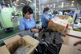 Vietnam y Sudáfrica promueven cooperación comercial y turística 