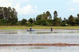 A debate en Vietnam proyecto de desarrollo integral del Delta del río Mekong