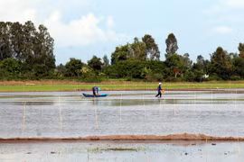 A debate en Vietnam proyecto de desarrollo integral del Delta del río Mekong