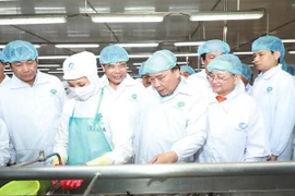 Premier vietnamita visita empresa líder de exportación de camarones en mundo